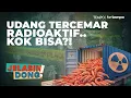 Download Lagu Radioaktif di Udang Kita | Jelasin Dong!