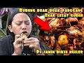 Lagu BURUNG RUWAK RUWAK BUMBU KUNING HASIL ALAM BIKIN NGILER