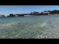 Bar Harbor tides