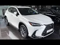 Lagu 2024 White Lexus NX 250 - in depth Walkaround 4K