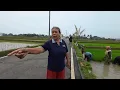 Download Lagu Seketika Kampung Ini Berubah Nama Setelah Kang Dedi Mulyadi Gubernur Jabar Membangunkan Jalan Baru