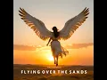 Flying over the sands