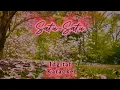 Download Lagu Satu Satu - Idgitaf (Karaoke)