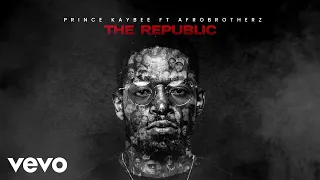 prince kaybee the republic visualizer ft afro brotherz