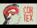 How Does Meditation Change the Brain - Instant Egghead
