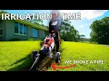 Download Lagu I Destroyed My Kikuyu Lawn… For Irrigation