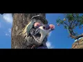 Ice Age 4: Continental Drift - We Are Family - videoclip HD