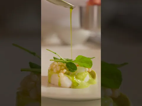 2-Star Monochromatic Tasting Menu | Helm