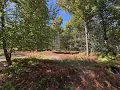 For Sale - Sugar Bush Trail Potter County Pa Part 1
