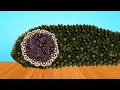 Download Lagu Soothing Foot Spa ASMR | Relax Your Mind \u0026 Heal Sore Feet |