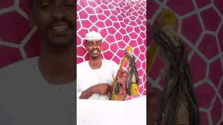 المبدع عبدالله الشريف يالسمحة بالريد بعترف ابداااع وتر مجنوون اشتراك بالقناة 