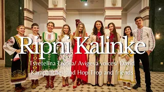 Рипни Калинке Ripni Kalinke 