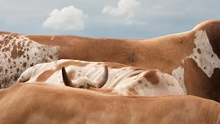 Beyond the Shot: Creating Photography That Starts a Conversation