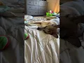 Sorry it wasn t working