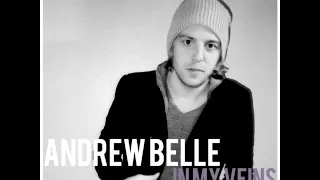 andrew belle in my veins feat erin mccarley official song