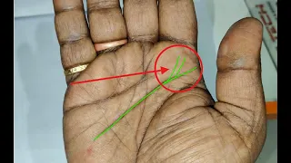 गुरु पर्वत पर ऐसी रेखाएं होती हैं अति भाग्यशाली - संपर्क करें +917009126730
