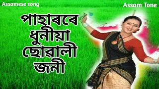 Download Paharore Dhuniya Suwali joni by SIMANTA SHEKHAR || assamese song||AssamTone 2018 MP3