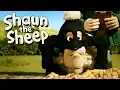 Download Lagu Wanted | Shaun the Sheep Season 5 | Full Episode