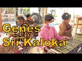 Download Lagu Gendhing GENES Ladrang SRI KALOKA / Uyon Uyon Gending Jawa / Javanese Gamelan COKEKAN Siteran Music