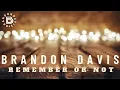 Brandon Davis - Remember or Not (Official Lyric Video)
