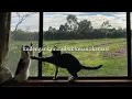 Download Lagu Bernadya- Kini mereka tau (Lyric)