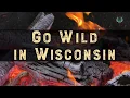 Go Wild In Wisconsin This Fall