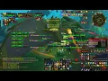 Ret Pally Carnagias Tops Damage Meter for Basrikron world boss