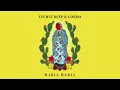 TECH IT DEEP x Gordo – Maria Maria (Official Audio)