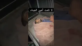 صالح الجعفراوي صوت الحقيقة يغيب عن غزة 