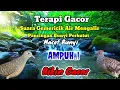 Download Lagu Terapi Air || Suara Gemericik Air Mengalir || Terapi Burung Perkutut