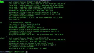 Setup a Webserver with Python Linux Tutorials clip17