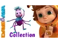 Itsy Bitsy Spider Nursery Rhymes Compilation YouTube Nursery Rhymes from Dave and Ava