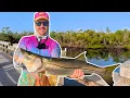 The Best Fishing Pier of Port Charlotte FL PB Snook
