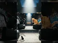 Download Lagu batle rap kucing. #remix #cat #funny #funnycat #kucinglucu #rap #batlerap  #rapper #funnypets