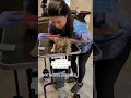 yorkie in New York gets groomed by Texas groomer dog grooming