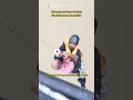 Sri Lanka Air Force Bell-212 Coordinated Flood Rescue in Anuradhapura November 28 2025