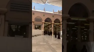 دخول النساء للروضه الشريفه بهدوء ونظام اللهم تقبل دعائهم وأرزق كل مشتاق زيارة حبيبك المصطفى 