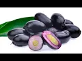 Download Lagu JAMUN / Jamoon How many remember these gems