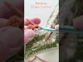 Reverse Single Crochet How To Tutorial