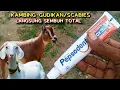 Download Lagu WAJIB TAU!! CARA MENGOBATI KAMBING GUDIKAN/SCABIES, LANGSUNG SEMBUH CUKUP PAKAI RAMUAN INI SAJA