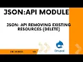 Removing existing resources DELETE JSON API module