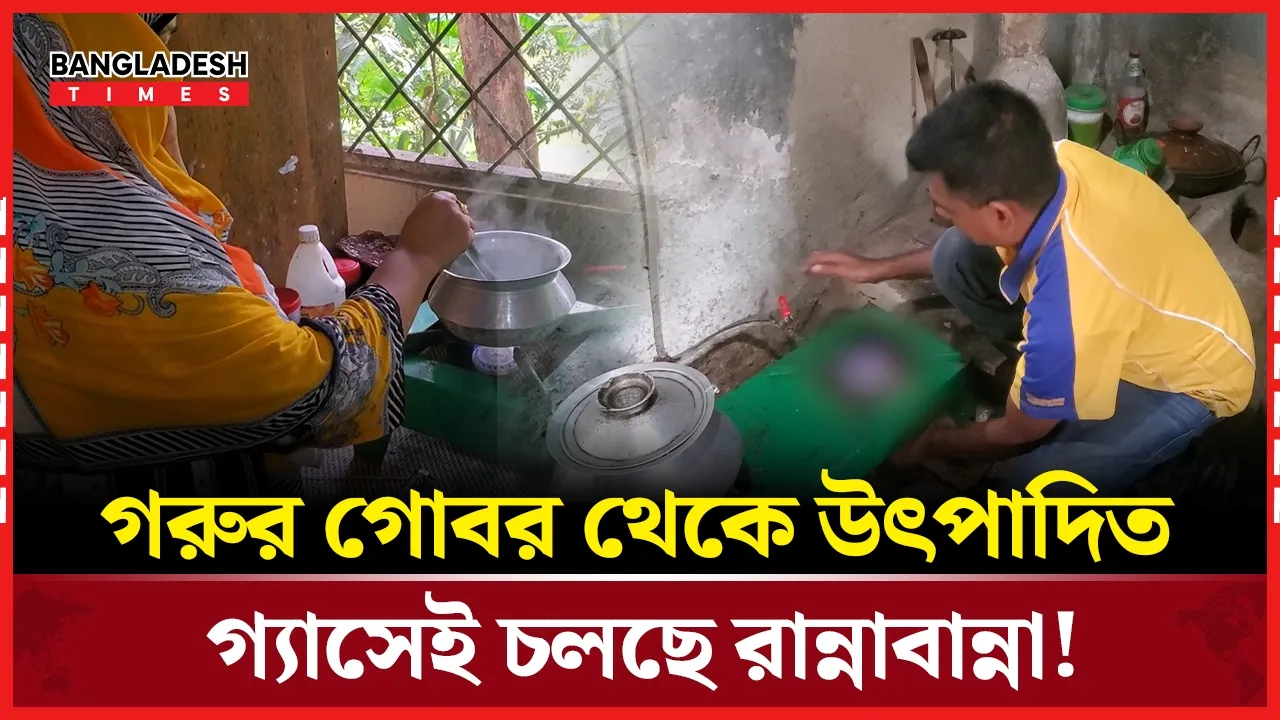 ভোলায় গরুর খামারে বিশেষ পদ্ধতিতে তৈরি হচ্ছে বায়োগ্যাস