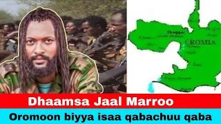 Dhaamsa Jaal Marroo Dirribaa Fi Gammachuu Abbooyyee 