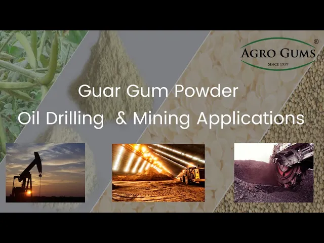 Guar Gum Powder Oil Drilling and Mining Applications