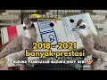 Download Lagu UNBOXING TRUCUKAN MANTAN PRESTASI DARI MADURA, HARGA 3,5 JUTA 😜