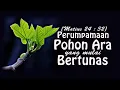 Download Lagu Perumpamaan Pohon Ara Yang Mulai Bertunas (Parable of The Budding Fig Tree)