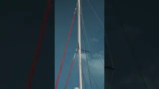 Wie viel Platz braucht man auf See? Neel: “JA!” #shorts #bootsprofis #sailing