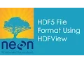 A Quick Look at the F5 File Format Using FView