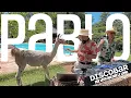 Lagu Summer Afro House Live Set - Lama Pool party Mix - Dj Pablo Discobar (Adam Port, Bad Bunny, Solomun)