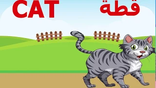 Learn The Word CAT In Arabic VS تعلم كلمة قطة بالانجليزية  Learn The Word CAT In Arabic VS تعلم كلمة قطة بالانجليزية